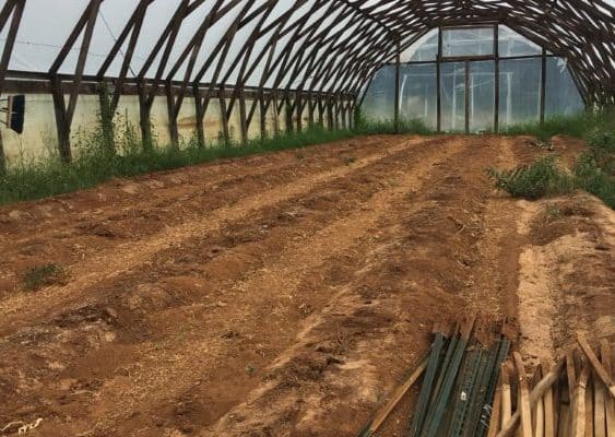 agriculture in Cabarrus County, NC - Elma C. Lomax Incubator Farm land