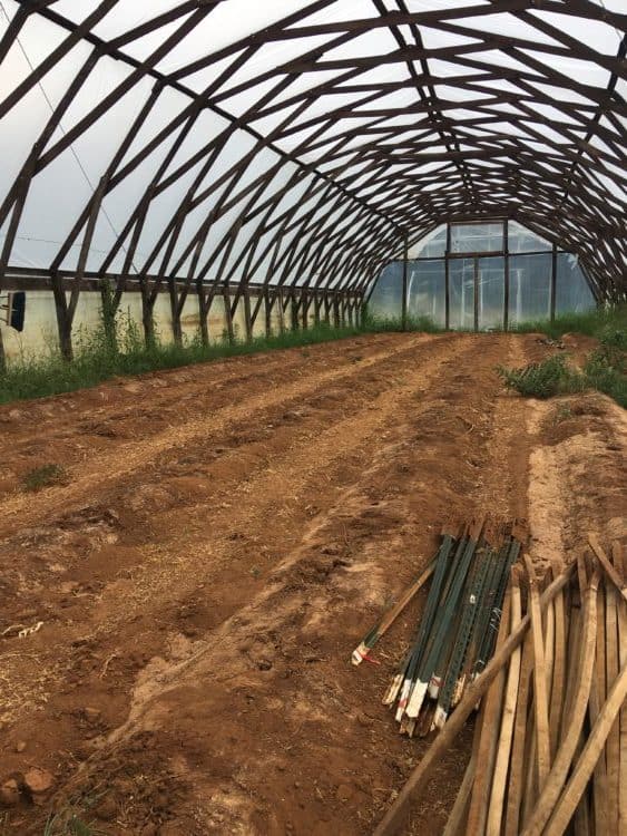 Elma C. Lomax Incubator Farm land
