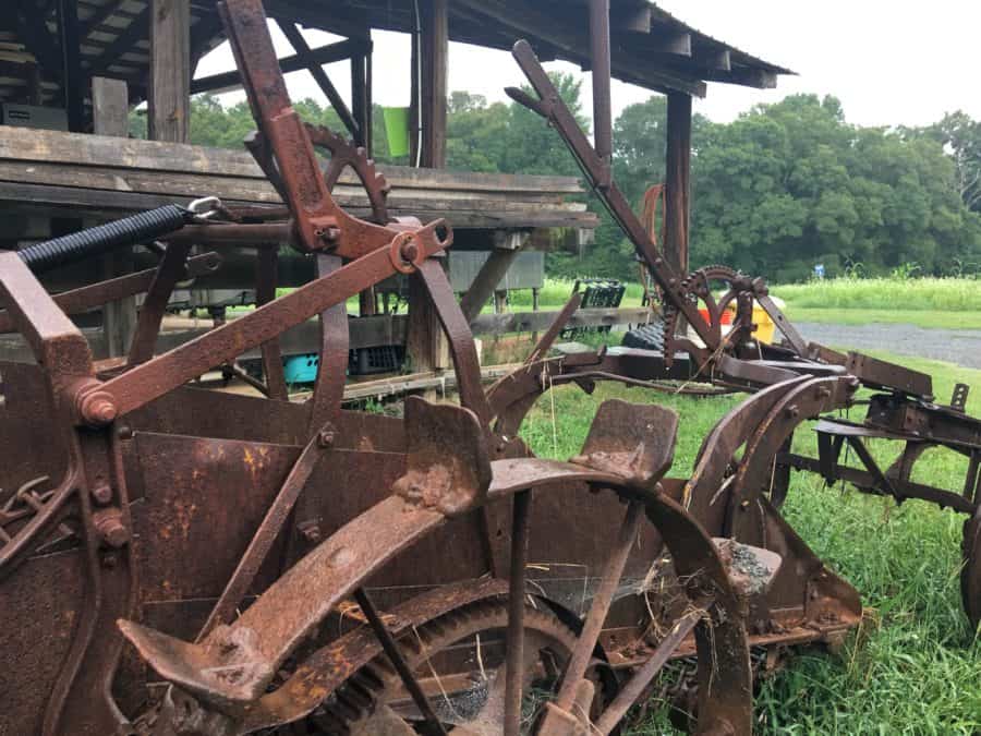 antique tractor at Elma C. Lomax Incubator Farm