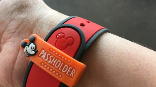 Is a 2019 Disney World Annual Pass worth it?