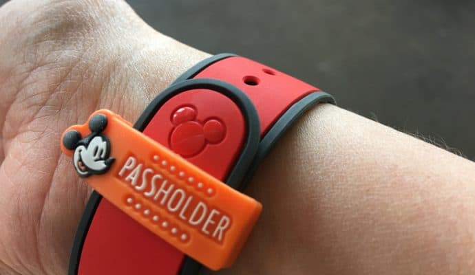 Only One Day At Disney World A Guide For Adults Sand And Snow
