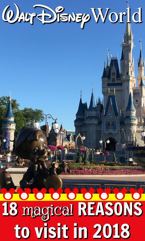 Planning a trip to Walt Disney World? From a brand new land to resort upgrades and milestone anniversaries, here's 18 magical reasons to visit Disney World in 2018.
