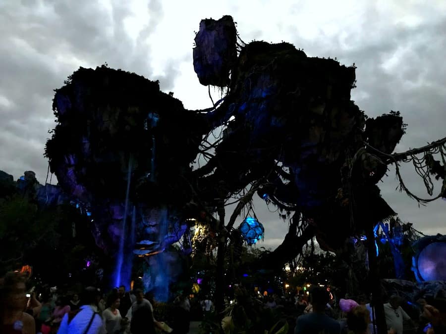 Pandora - The World of Avatar at night. Animal Kingdom Walt Disney World