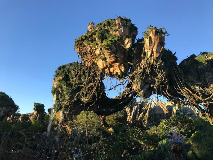 Pandora - The World of Avatar iconic scene