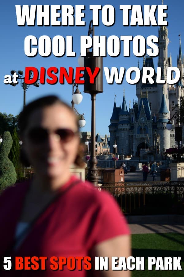 Looking for cool spots to take photos in Walt Disney World? Here's our top five picks for each park!
