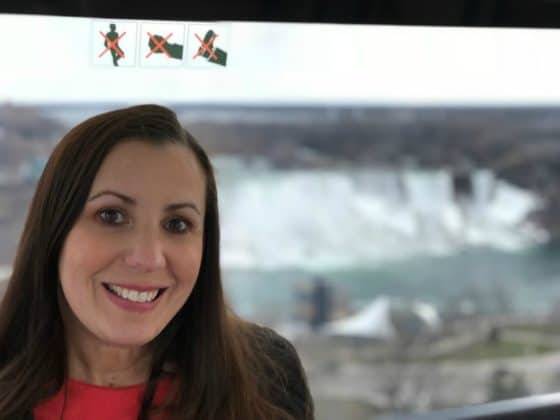 Niagara Falls Fun Pass: Niagara Skywheel during the day.