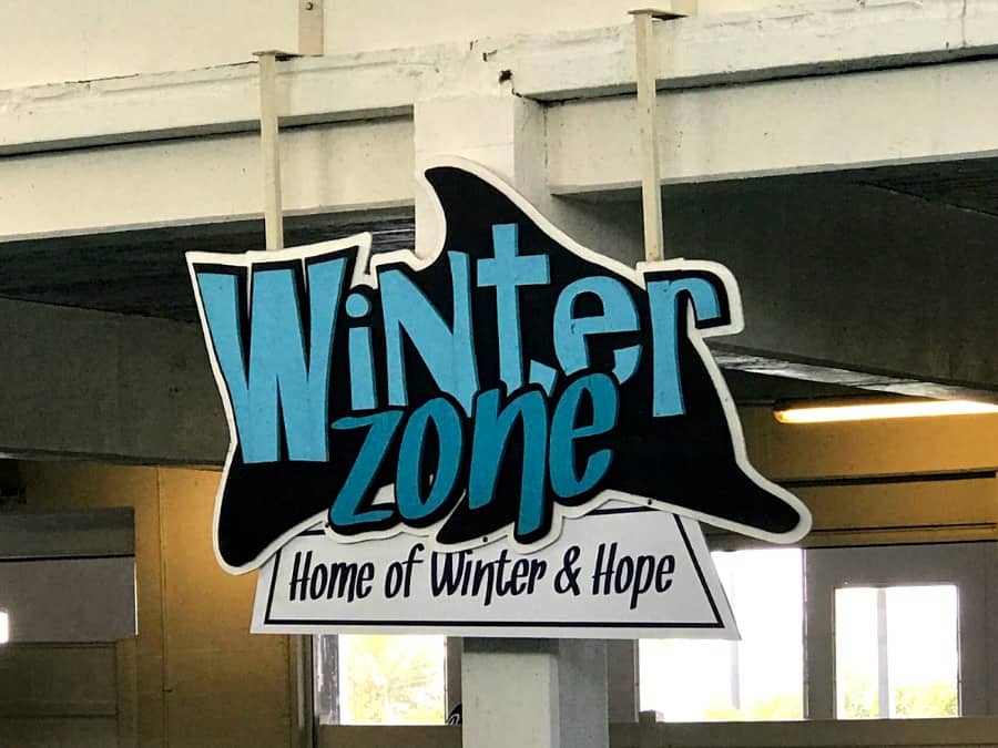 Things to do in Clearwater Beach, FL: Clearwater Marine Aquarium with Winter & Hope