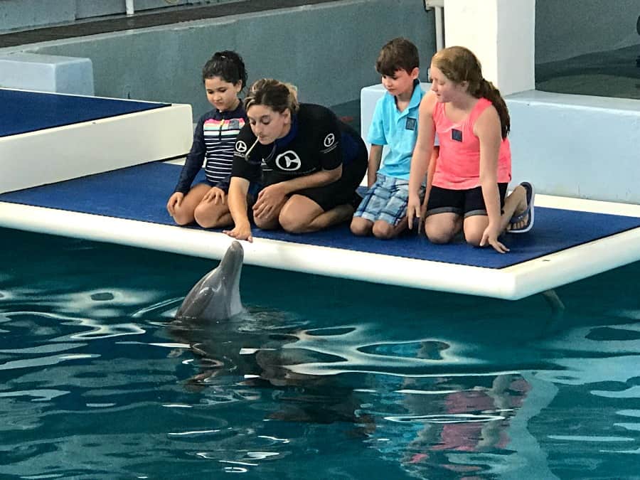 Things to do in Clearwater Beach, FL: Clearwater Marine Aquarium