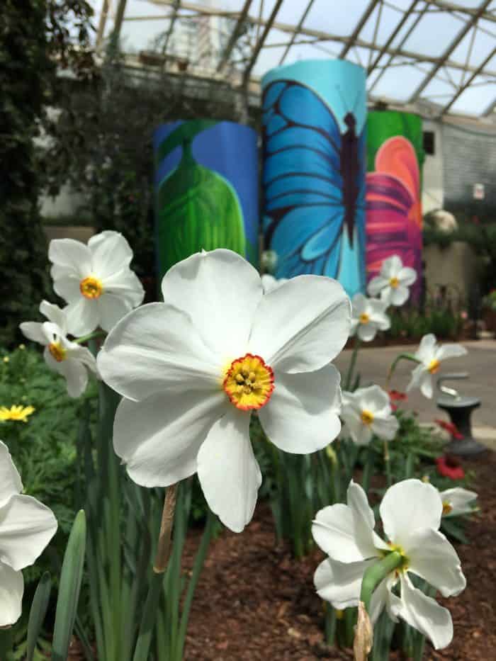 The Foellinger-Freimann Botanical Conservatory is beautiful no matter what time of year you visit Fort Wayne.