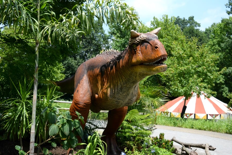 Pittsburgh Zoo Dinosaurs at the Zoo 2018