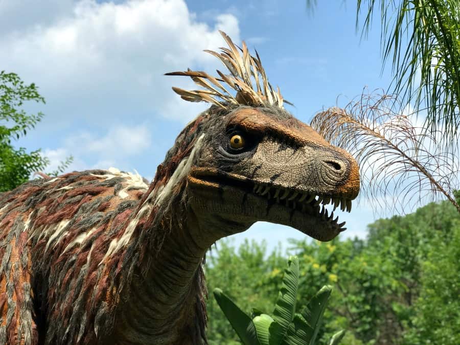 Pittsburgh Zoo Dinosaurs at the Zoo 2018