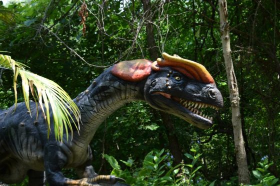 woodland park zoo dinosaurs