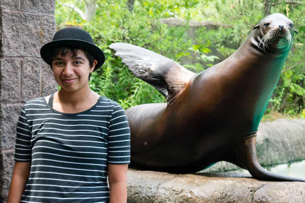 The Kid and a California Sea Lion during our Pittsburgh Zoo Sea Lion Wild Encounter!
