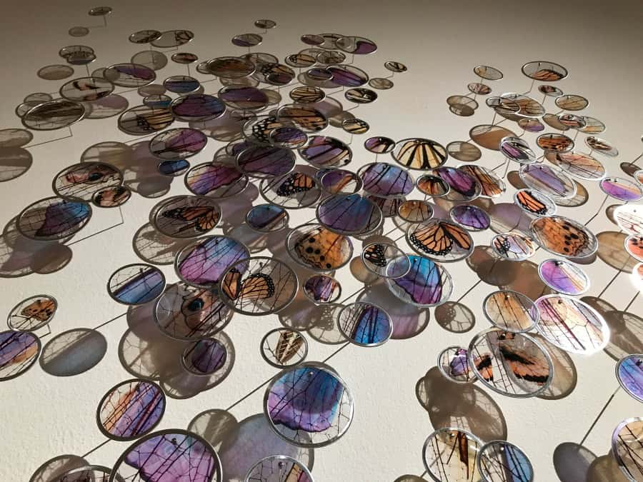6 Super Fun Things To Do in Fort Wayne in the Summer 2 Both the permanent and traveling exhibitions make a visit to Fort Wayne Museum of Art worth the admission!