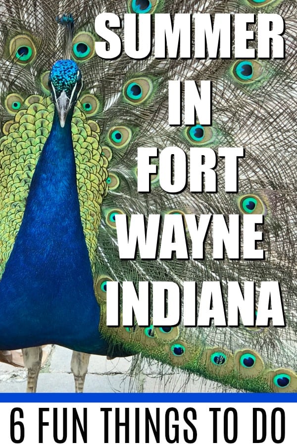 Headed to Fort Wayne, Indiana, this summer? Here are our favorite things to do, both indoors and out! #VisitFortWayne #MyFortWayne #Midwest #VisitIndiana #SummerinFortWayne