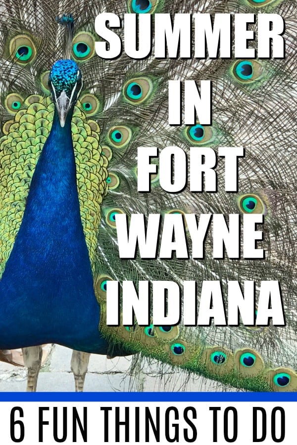 6 Super Fun Things To Do In Fort Wayne