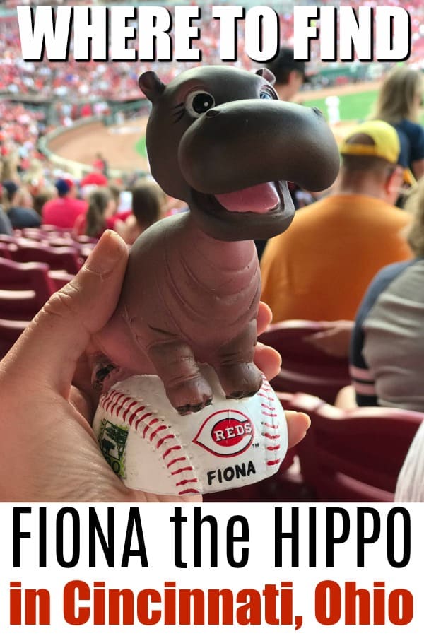 Ready to get your Fiona the Hippo fill in Cincinnati, Ohio? Here are the top spots to check out on your next visit! #TeamFiona #CincinnatiUSA #FionatheHippo #BabyAnimals #Midwest #OhioFinditHere #