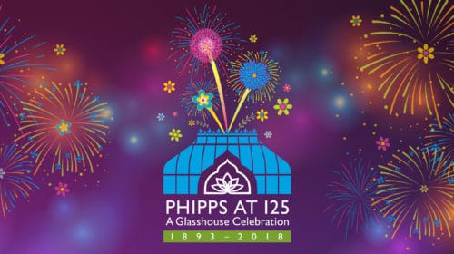 Phipps at 125: The celebration of the century! Photo Credit: Phipps Conservatory and Botanical Gardens