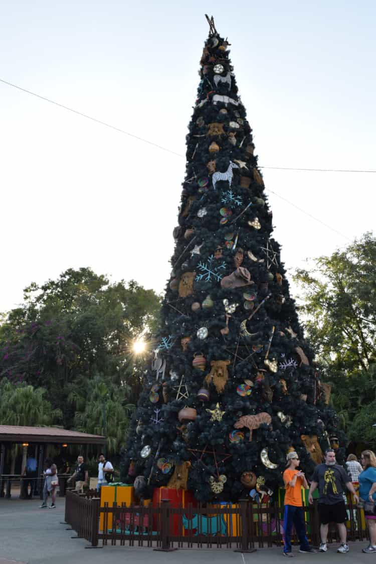 Christmas Tree outside Disney's Animal Kingdom. Photo Credit: Steven Locke