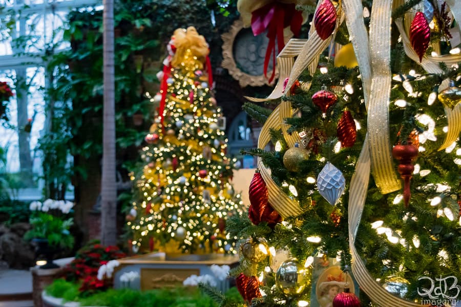 All the lights at Phipps Conservatory & Botanical Gardens' 2018 Holiday Magic: Let it Glow! Photo Credit: Steven Locke