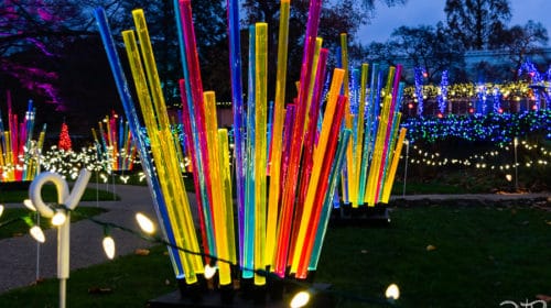 Colorful glow sticks at Phipps' 2018 Holiday Magic: Let it Glow! outdoor Winter Garden. Photo Credit: Steven Locke
