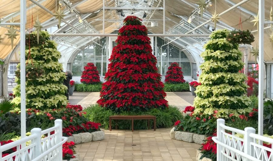 2018 Columbus Holiday Guide: Franklin Park Conservatory