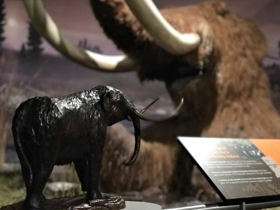 Best Museums in Indianapolis for Families: Indiana State Museum mastodon