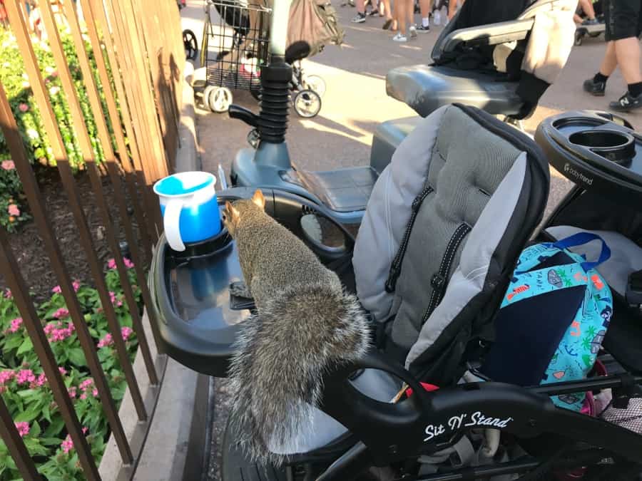 how to keep kids safe at theme parks: stroller safety