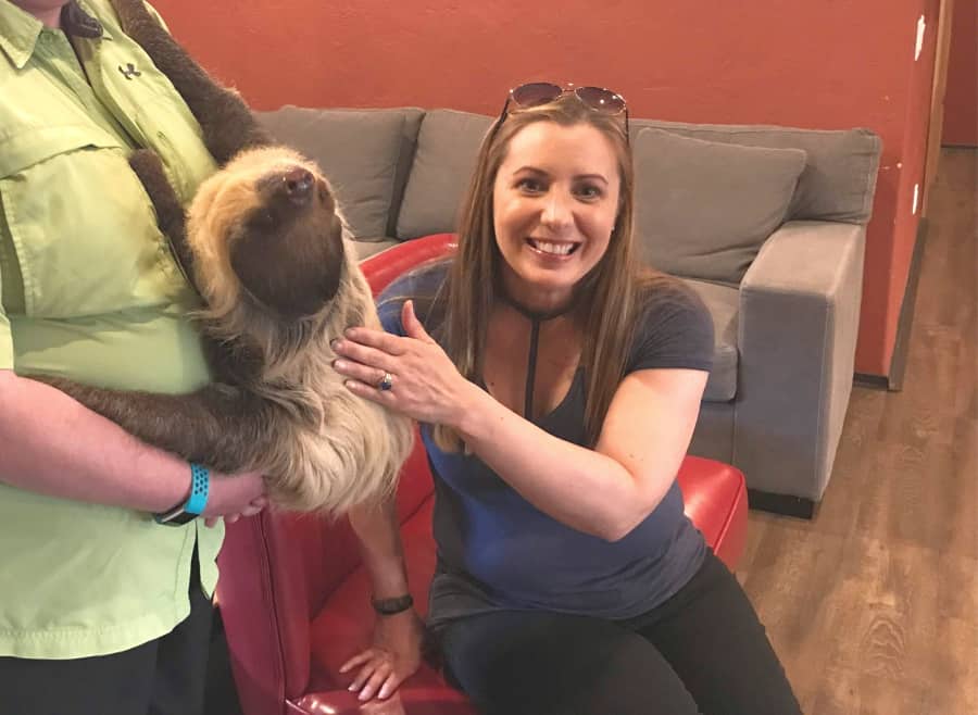 Living Treasures Sloth Encounter: Petting Padawan