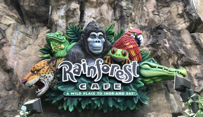 Best fun restaurants at Disney World: Rainforest Cafe