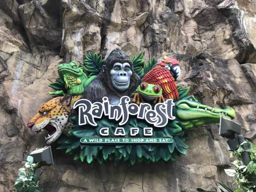 Best fun restaurants at Disney World: Rainforest Cafe