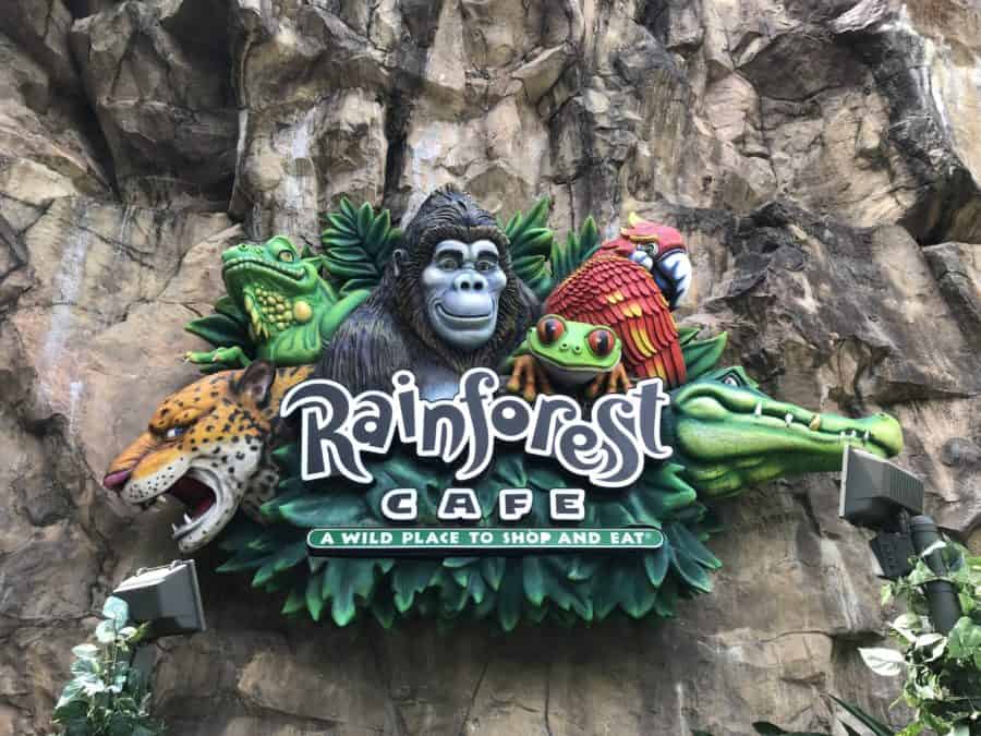 Best fun restaurants at Disney World: Rainforest Cafe
