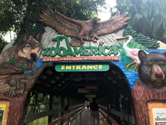Hersheypark ZooAmerica