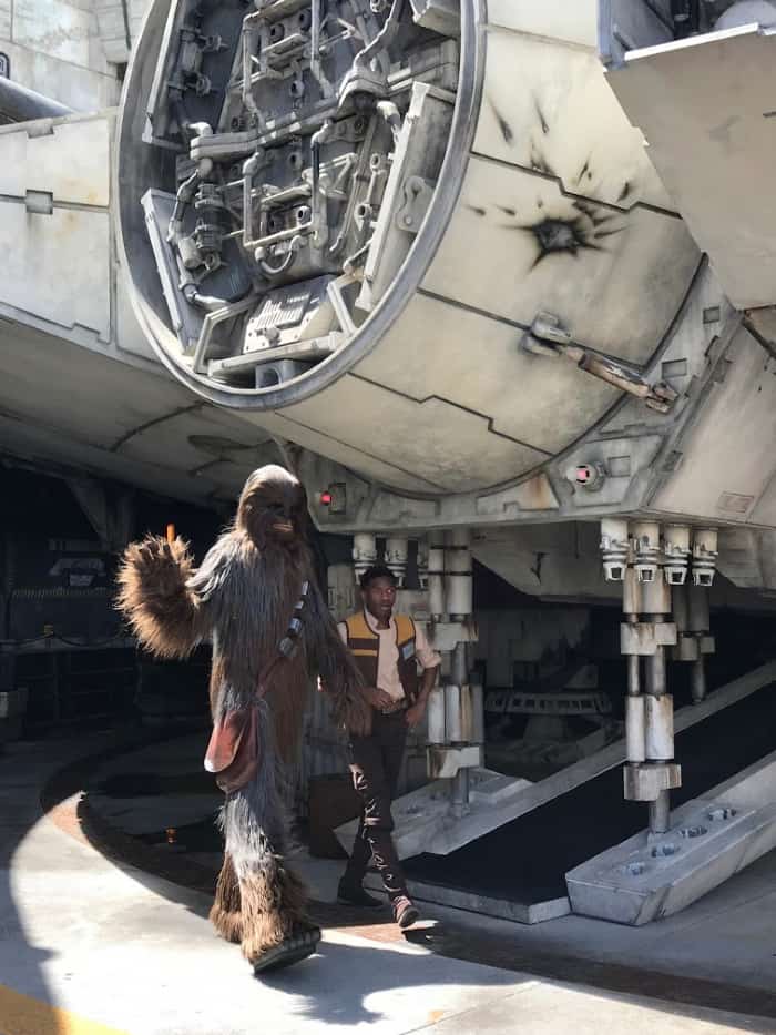 tips for Star Wars: Galaxy's Edge at Disney World - Character Meet and Greets