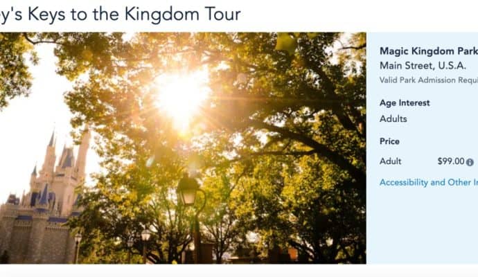 Disney extras worth paying for: Keys to the Kingdom Tour