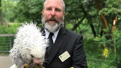 Pittsburgh Zoo Adult events - Gala