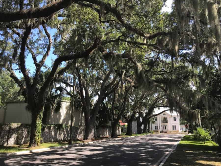 unique things to do in St. Augustine - Magnolia Boulevard