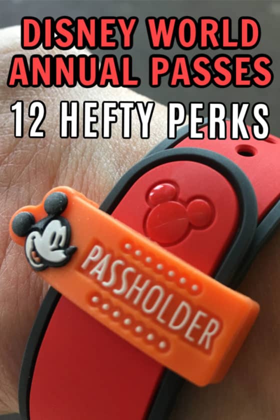 On the fence whether to but a Disney Annual Pass? From dining to shopping to ticket discounts, here are 12 hefty Disney World Annual Pass perks and discounts! #Disney #WaltDisneyWorld #DisneyAnnualPass #DisneyAP #WDW #Florida #OrlandoThemeParks