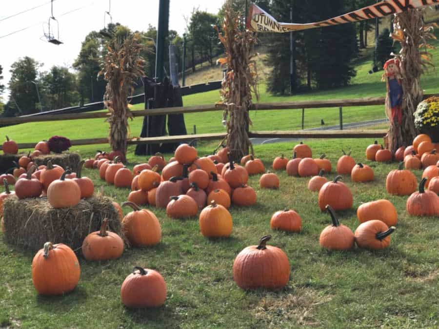 Things to do in Laurel Highlands in Fall: Autumnfest