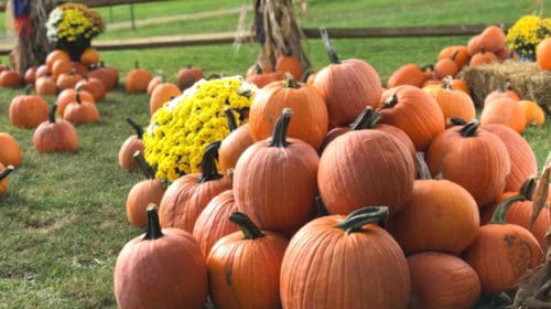 Things to do in Laurel Highlands in Fall