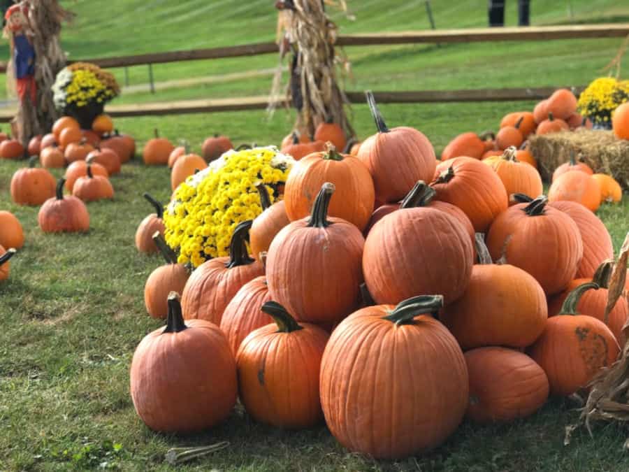 Things to do in Laurel Highlands in Fall