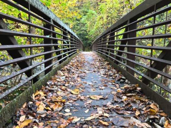 Best things to do in Lansing, WV: hiking