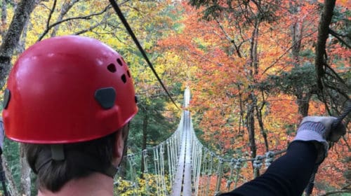 Best things to do in Lansing, WV: TreeTops Canopy tour at Adventures on the Gorge