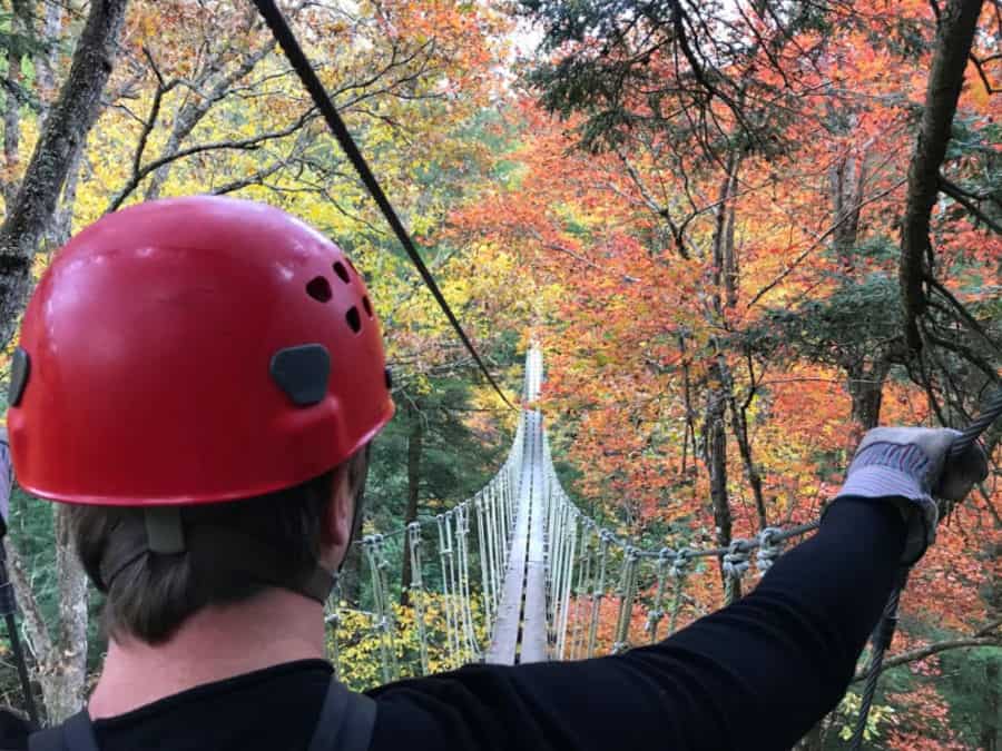 Best things to do in Lansing, WV: TreeTops Canopy tour at Adventures on the Gorge