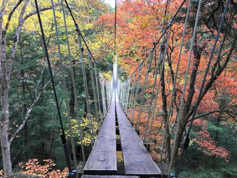 Best things to do in Lansing, WV: TreeTops Canopy Tour Adventures on the Gorge