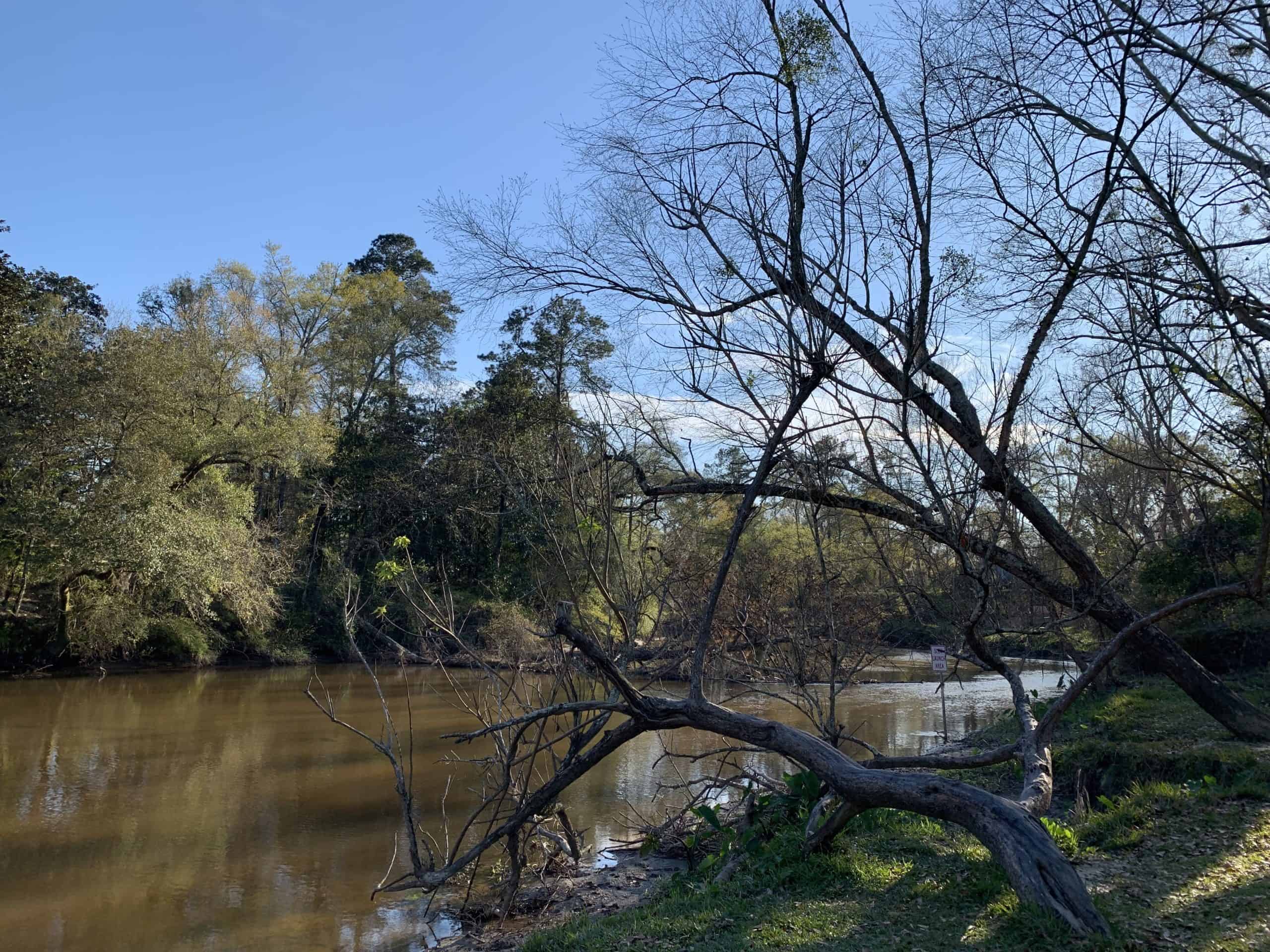 Fun Things to Do in St. Tammany Parish Louisiana's Northshore Covington Columbia Street Landing