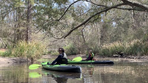 Fun Things to Do in St. Tammany Parish Louisiana's Northshore Kayaking Cane Bayou