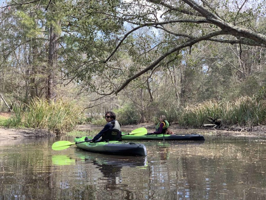 Fun Things to Do in St. Tammany Parish Louisiana's Northshore Kayaking Cane Bayou