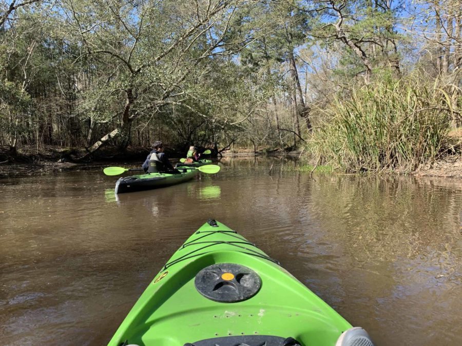 Fun Things to Do in St. Tammany Parish Louisiana's Northshore kayak Cane Bayou