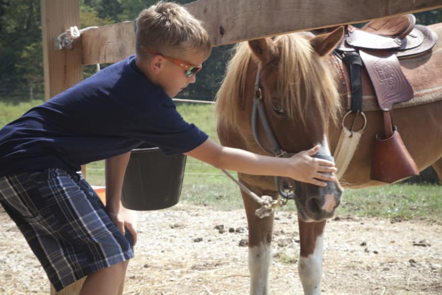 Summer activities in Santa Claus Indiana: Santa's stables